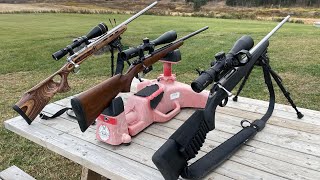 204 Ruger Battle Savage vs Tikka vs CZ [upl. by Grace792]