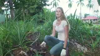 quotHow To Grow A Pineapplequot by Keaau High School  HIKI NŌ 103  PBS HAWAIʻI [upl. by Aseiram]