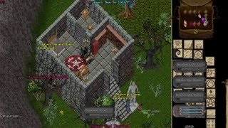 Spiritwood  Atlantic Shard Ultima Online Event [upl. by Healy]