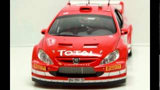 TAMIYA 124 PEUGEOT 307 WRC MONTE CARLO 2005 [upl. by Ikiv]