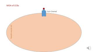 Pharmacology of CCBs [upl. by Dave47]