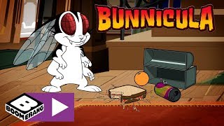 Bunnicula  The Fly Boys  Boomerang UK 🇬🇧 [upl. by Pilloff]