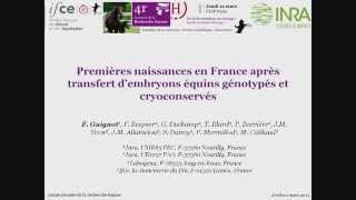 F Guignot  Journée de la recherche équine 2015  Premières naissances en France [upl. by Ilke701]