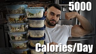 5000 Calorie Meal Plan  Weight Gain Diet  Skinny Boy Solutions [upl. by Ferree755]