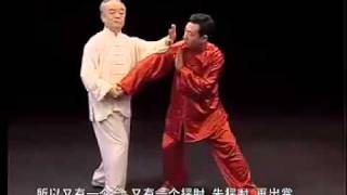 Ma HongApplications of Taichi Chen Style3 马虹—陈式太极拳拆拳讲劲三 [upl. by Eadith487]