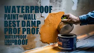 Waterproof Paint for Wall  Best Damp Proof Paint  Waterproof Liquid for Roof [upl. by Thanos]