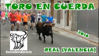 BOUS AL CARRER  REAL V 2018  TORO EN CUERDA CON SUSTO 2272018 [upl. by Essiralc842]