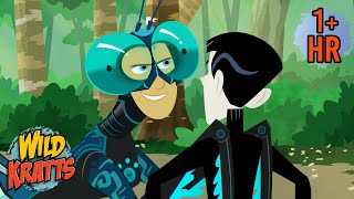 Every Creature Rescue Season 4  Protecting The Earths Wildlife  New Compilation  Wild Kratts [upl. by Ultan959]