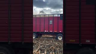 Making some cow chow with our New Holland chopper [upl. by Nikkie]