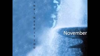 ECHO AND THE BUNNYMEN November [upl. by Nonaihr]