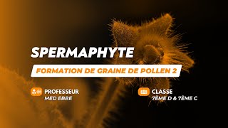 Formation de graine de pollen partie 2 [upl. by Onibla]