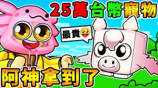 阿神在【寵物模擬器X】中，得到了價值 ２５萬台幣的【Huge天馬】！這就是世界上最貴的寵物！Roblox 機械方塊 [upl. by Crary803]