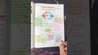 Acidsbases and Salts Formation and types Chemistry Class 10 [upl. by Ahsha718]