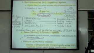 Intro to Human Physiology by Professor Fink [upl. by Grider]