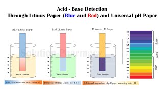 Litmus Paper  How to use Litmus amp Universal pH Paper  pH determination  Litmus Paper  pH Test [upl. by Samled]