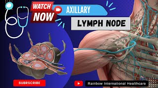 Axillary Lymph node  Drainage  Levels  Classification amp Function [upl. by Aneeuq]