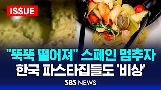 quot뚝뚝 떨어져quot 스페인 멈추자…한국 파스타집들도 비상 이슈라이브  SBS [upl. by Marigolda]