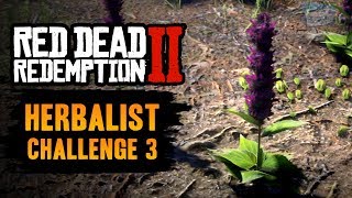 Red Dead Redemption 2 Herbalist Challenge 3 Guide  Craft 7 items using Sage as an ingredient [upl. by Karyl978]