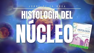 Núcleo Celular 🧫  Resumen Histología Ross 📚 [upl. by Selma]