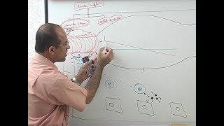 Inflammation  Vascular Events  Immunology  Dr Najeeb [upl. by Arrec]