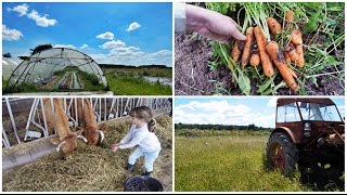 Working On A Farm In France [upl. by Hannahc]