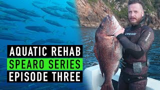 SPEARFISHING  4 Seasons 2018  New Zealand  SSE3 [upl. by Annovad]