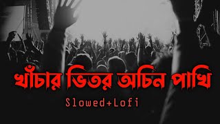 খাচার ভেতর অচিন পাখি  Kachar Betor Ochin Pakhi  SlowedLofi  Lalon Shah sheikh istiaq [upl. by Aldas]