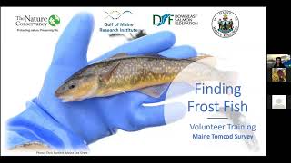 Finding Frost Fish Citizen Science Training December 2020 [upl. by Ahsocin372]