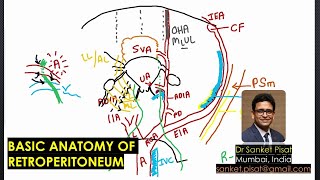 Anatomy of the retroperitoneum with voiceover [upl. by Ephrem]