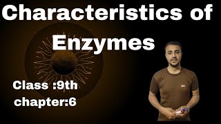 Characteristics Of Enzymes in urdu  Hindi  Class 9th Chapter 6 [upl. by Barbabra746]