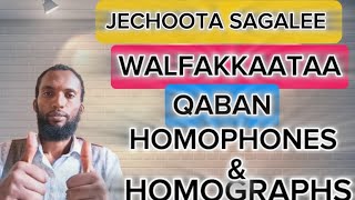 Jechoota sagalee tokko qaban Jechoota barreeffamaan walfakkaatanHomophones amp Homographs [upl. by Barayon]