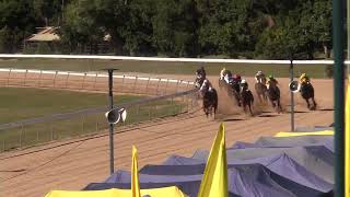 Gympie 20240615 Race 1 [upl. by Eanil]