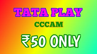 free cccam tata play cccam 2024 free cccam [upl. by Leirvag]