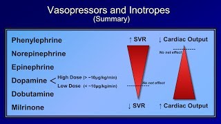 Shock Lesson 5  Pressors [upl. by Gabriele]