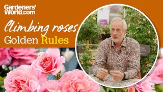 Caring for climbing roses  Golden Rules [upl. by Berman]