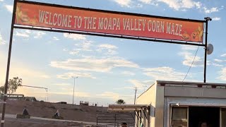 MOAPA VALLEY CORN MAZE 2024 [upl. by Onek]