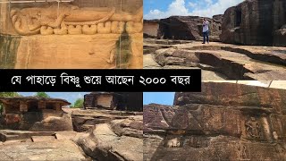 Explore Udayagiri Ancient Caves and 2000YearOld Vishnu Carvings [upl. by Fillender686]