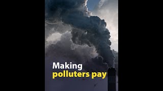 The polluter pays Updated Emissions Trading System [upl. by Philippa]