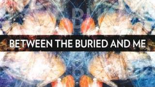 Between the Buried and Me  Specular Reflection CLIP [upl. by Diaz]