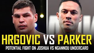 FILIP HRGOVIC VS JOSEPH PARKER  JOSHUANGANNOU UNDERCARD 🤔 [upl. by Dorrahs665]