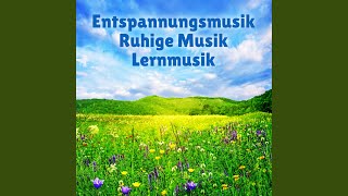 Musik zum Lernen [upl. by Eeima]