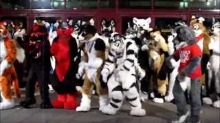 Eurofurence 18  unofficial Makingof EZwolfs Music Video [upl. by Averell]