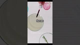 How capillary action actually works shorts nature learning [upl. by Maggs]