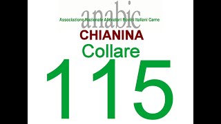 CHIANINA  COLLARE 115 IT050990046355 [upl. by Annairol]