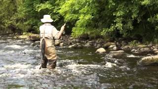 River fly fishing techniques [upl. by Mendelson]