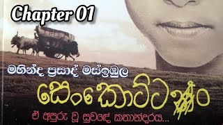 Senkottan  සෙංකොට්ටං  Audio Book  Chapter 01 [upl. by Ytinav]