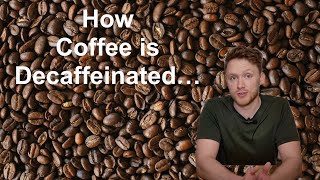 Coffee Decaffeination Explained [upl. by Adnanref]