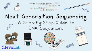 Next Generation Sequencing  A StepByStep Guide to DNA Sequencing [upl. by Denby477]