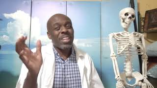 Acupuncturist Explains The Skeletal System [upl. by Hannie]