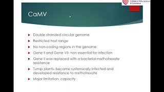 Plant viruses as vectors [upl. by Suoirred]